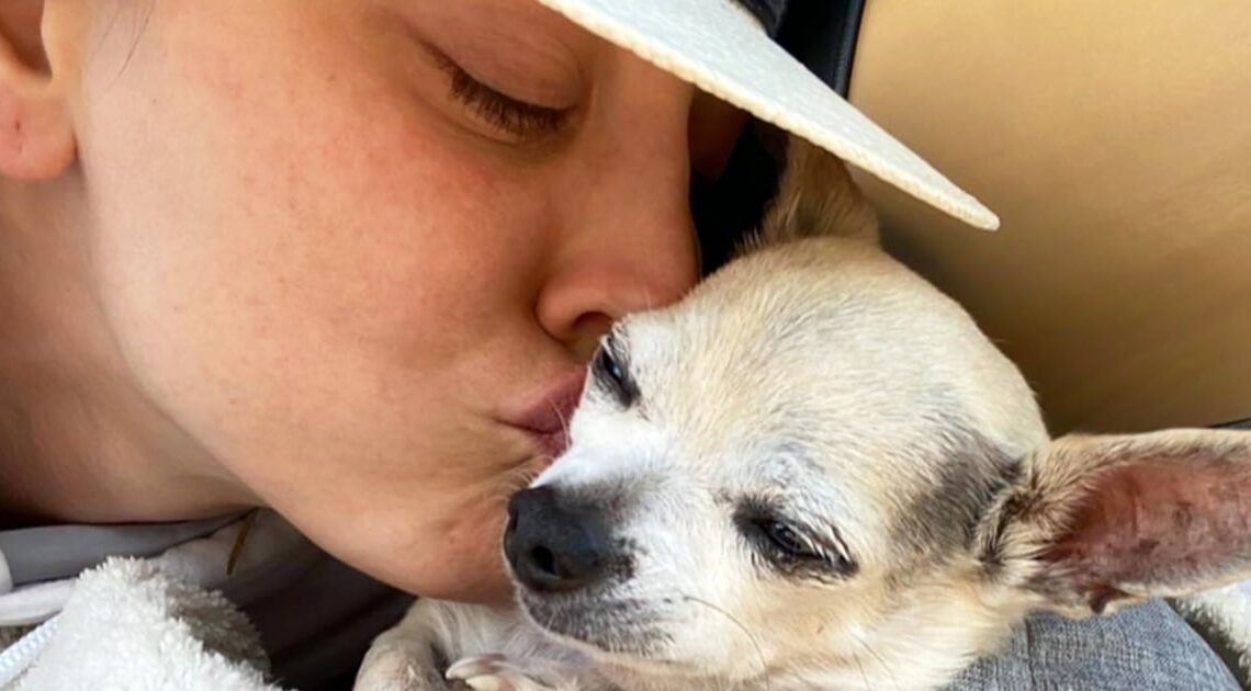 Kaley Cuoco pleure la perte d’un chien qui l’a aidée pendant «certains des moments les plus difficiles» de sa vie