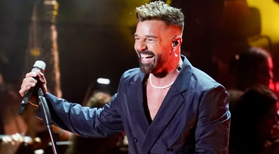 Les jumeaux de Ricky Martin surprennent leur père sur scène lors d’une rare apparition publique